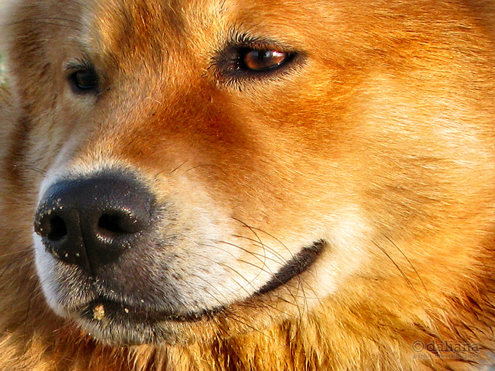 Photographis: Argos, Love and The Theory of Waiting