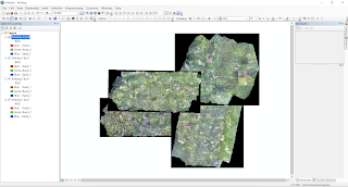 Tutorial : Layout Dua File Tiff Hasil Drone di Arcgis Tutorial : Layout Dua File Tiff Hasil Drone di Arcgis