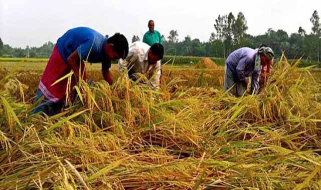 Farmers will get loan of 4% interest: State Minister Swapan Bhattacharya কৃষকরা ৪% সুদে ঋণ পাবে প্রতিমন্ত্রী স্বপন ভট্টাচার্য্য