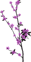 Arabesco lilás roxo Arabesco lilás roxo