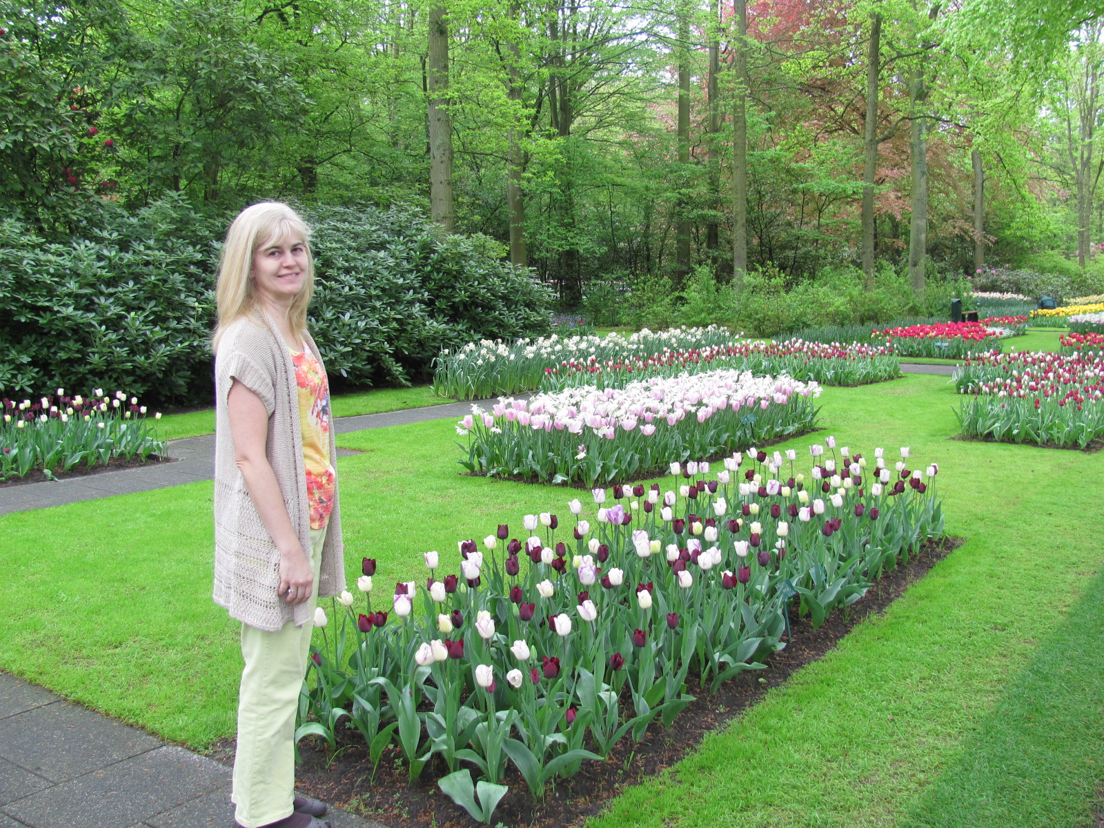 bedesisters Spring Flowers in Holland