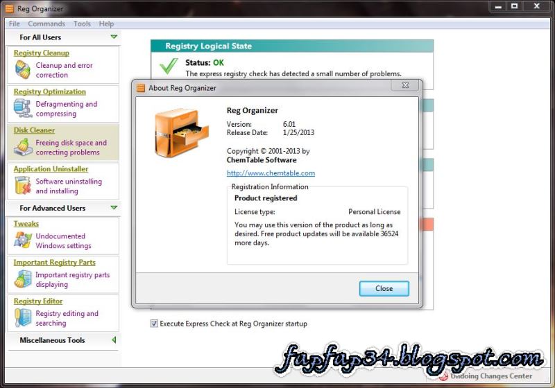 download reg organizer 9.11