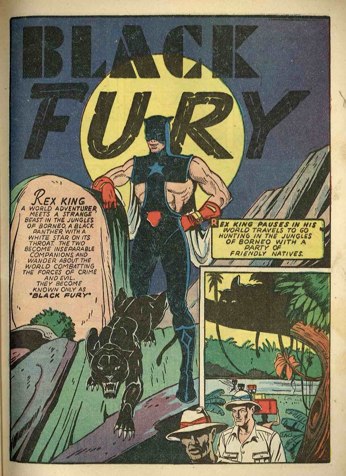FourColor Shadows Black FurySuper Magic Comics1941