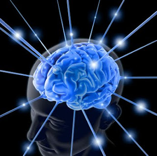 kepala otak manusia