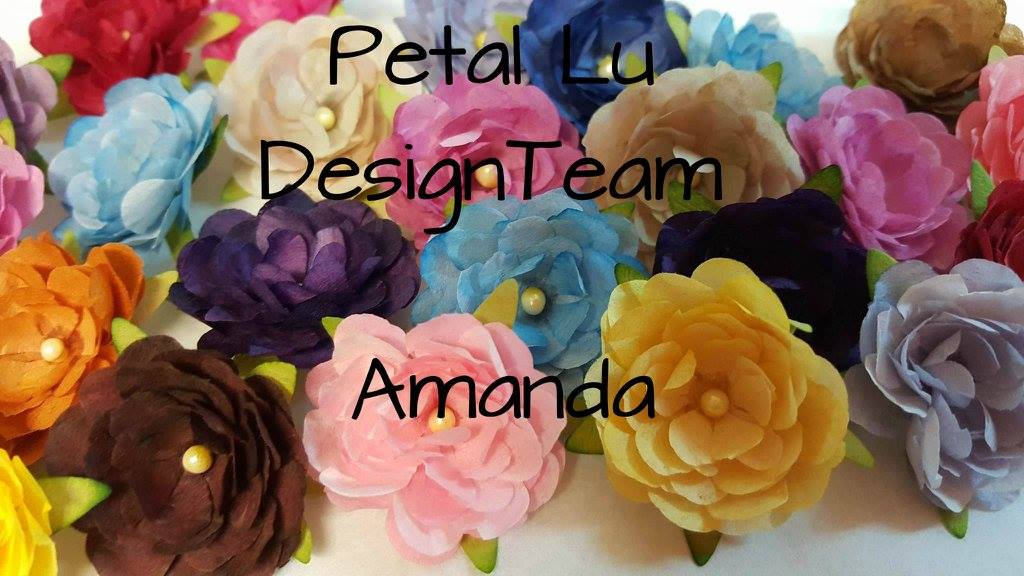 DT for Petal Lu