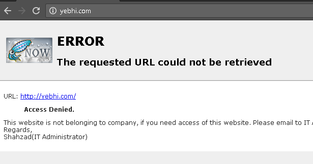 squid error message