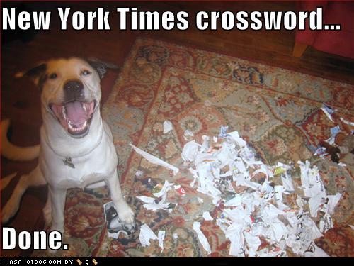 funny-dog-pictures-new-york-times-crossword-done funny pictures - funny-funny pictures of people 
