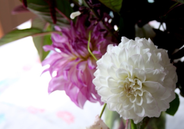 Pictures Of Beautiful Flowers And Their Names Pictures Of Beautiful Flowers And Their Names