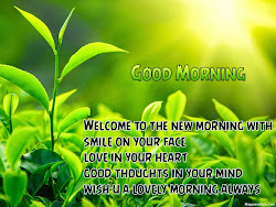 beautiful morning view quotes 1