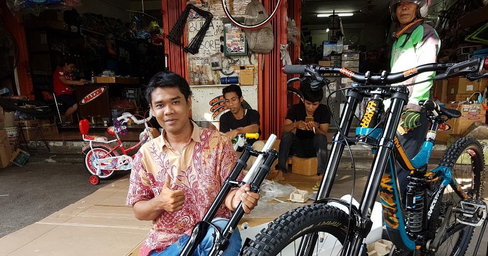 jual santa cruz chameleon