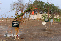 pantai tanjung pasir tangerang