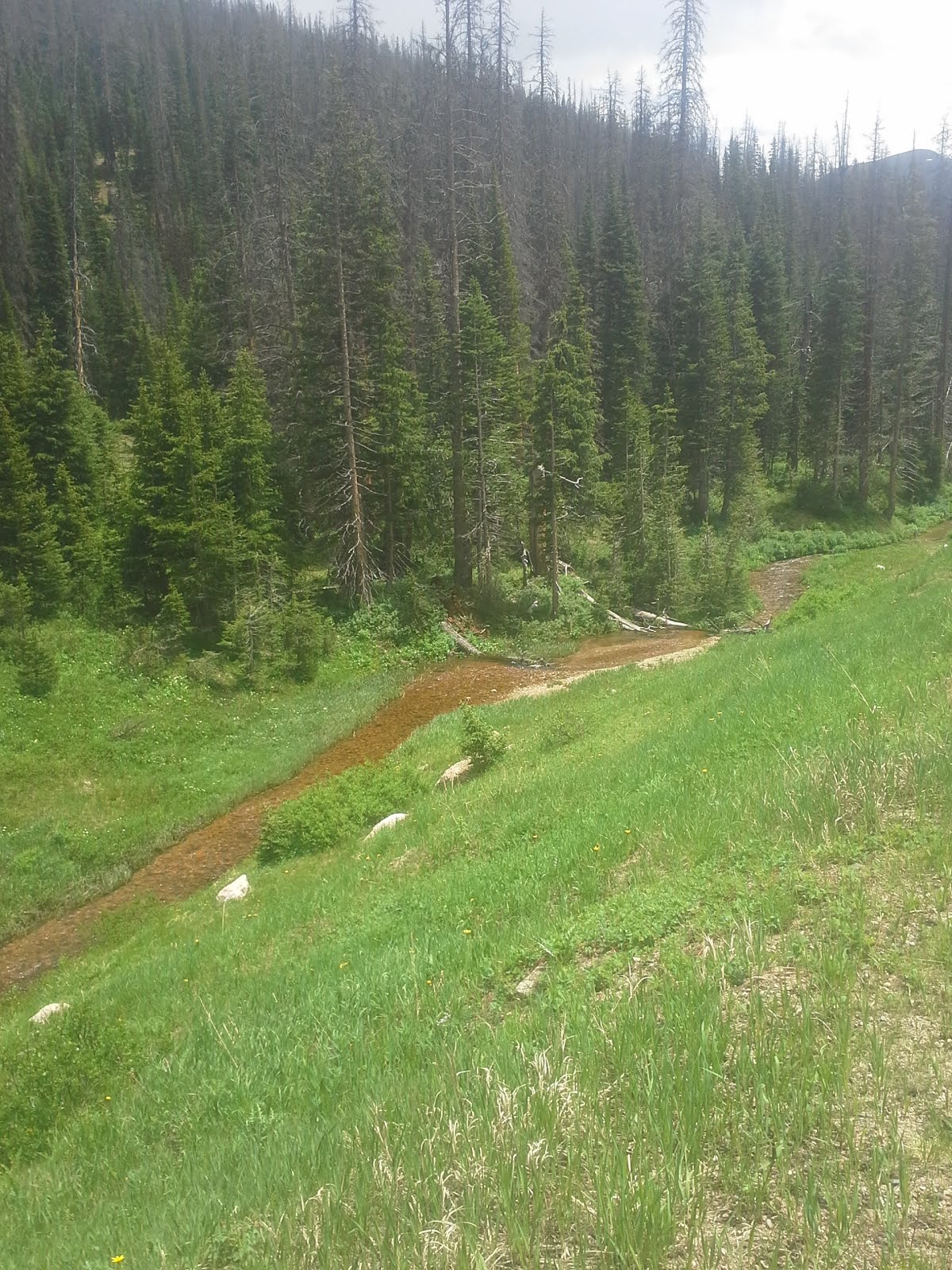 Not Only Stupid Priorities Day 39 Walden, CO to Fort Collins, CO