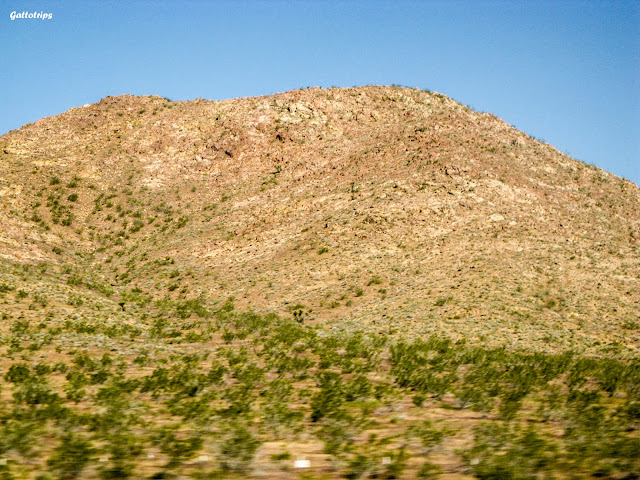 California Dreamin' - USA West Coast - Blogs de USA - Travesía del Mojave y llegada al Gran Cañón en Arizona (3)