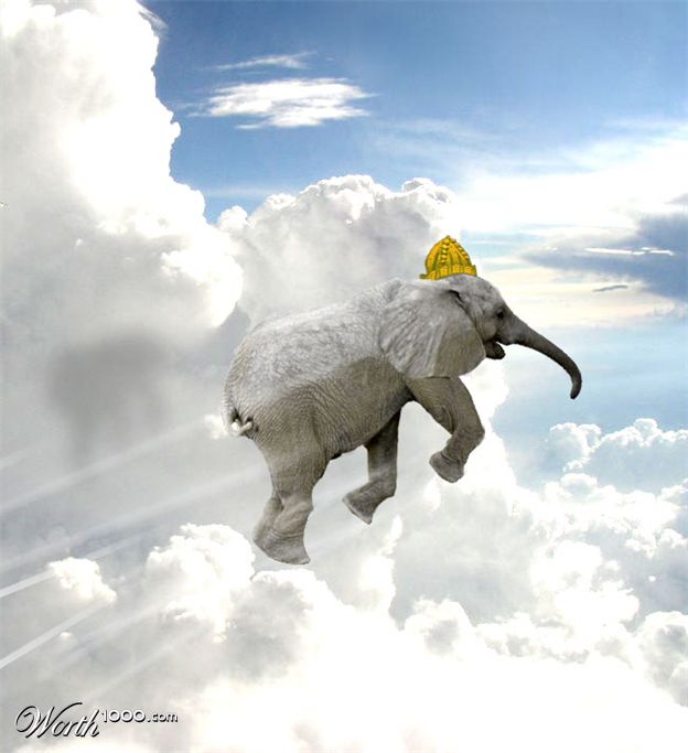 драконизация анимагов или слоны не летают