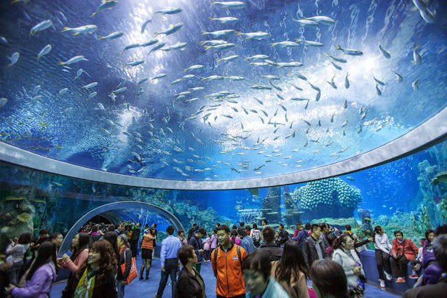Maior aquário do mundo