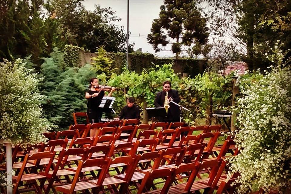 casamento jardins eventos porto alegre:Rodrigues . Saxofonista Porto Alegre Cerimonial Casamentos . Eventos casamento jardins eventos porto alegre:Rodrigues . Saxofonista Porto Alegre Cerimonial Casamentos . Eventos