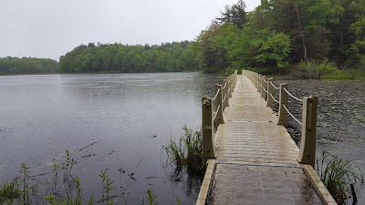 the floating walk way at DelCarte in the rain recently