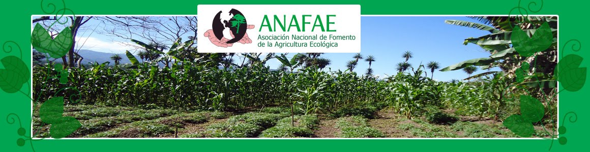 ANAFAE
