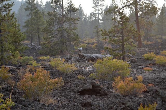 small cave of lava