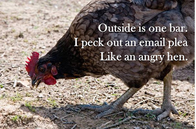 Outside is one bar. I peck out an email plea Like an angry hen.