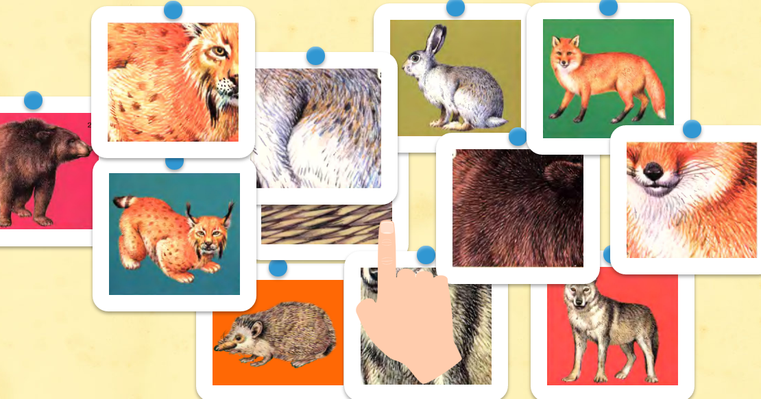 чип какие бывают животные