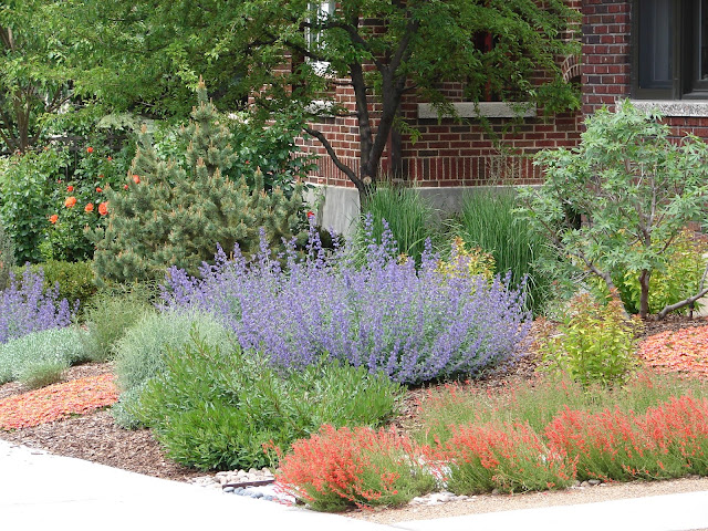 New Utah Gardener: Colorful Xeriscape Garden!