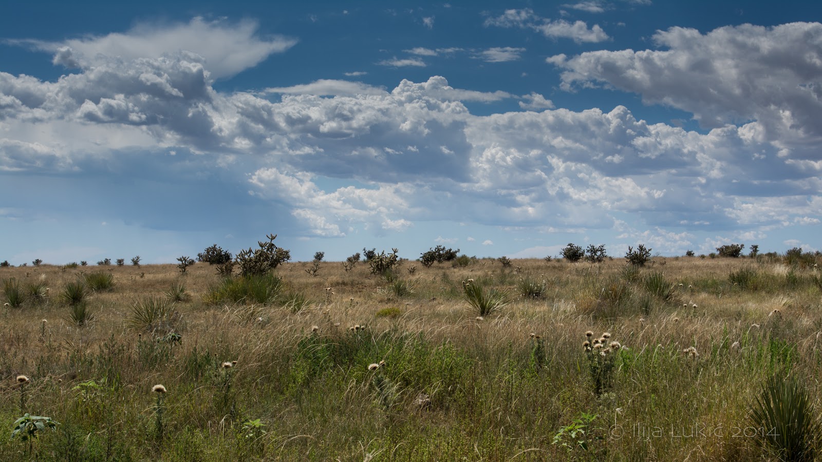 Poetry Of Spirit And Light