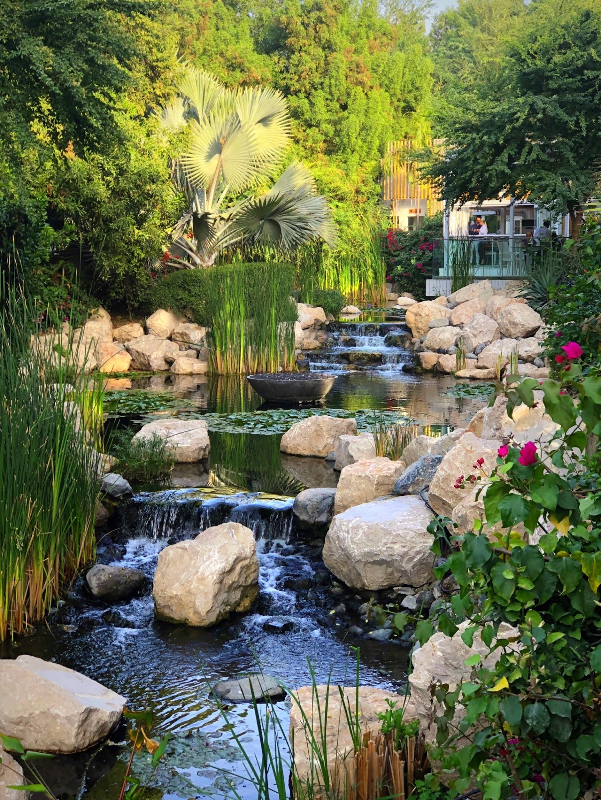The farm dubai