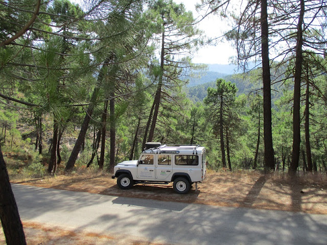 Land Rover in Cazorla Natural Park