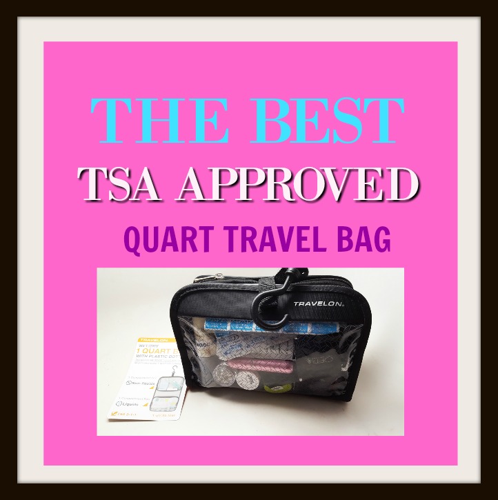 Clear TSA Approved 311 Travel Toiletry Bag for India  Ubuy