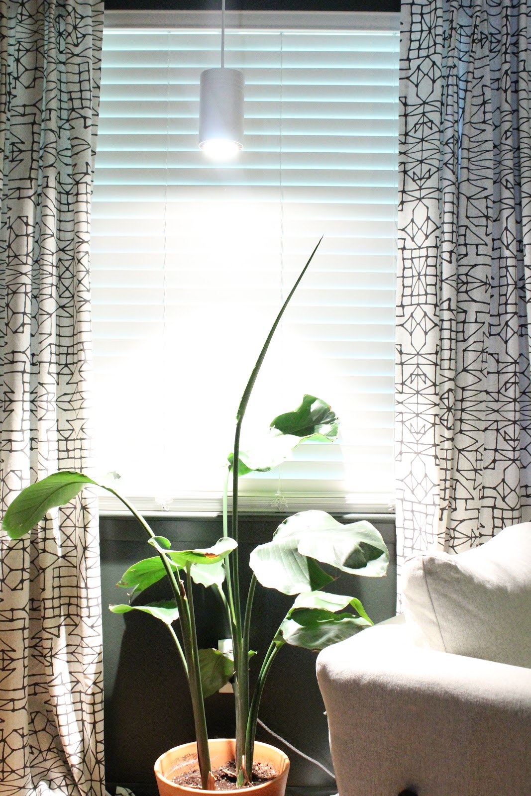 grow light soltech solutions