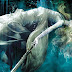 Lady Midnight. Cazadores de sombras: Renacimiento / Libro 1 ¡Ya llegó a Chile!
