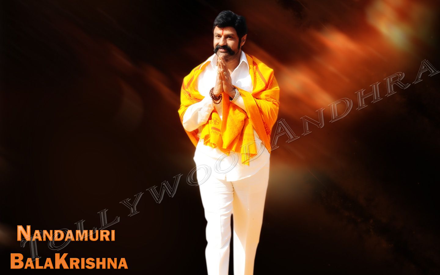 balakrishna-2011-birthday-wallpapers-04.