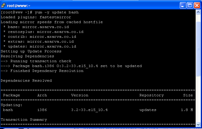 Bash update. Bash update