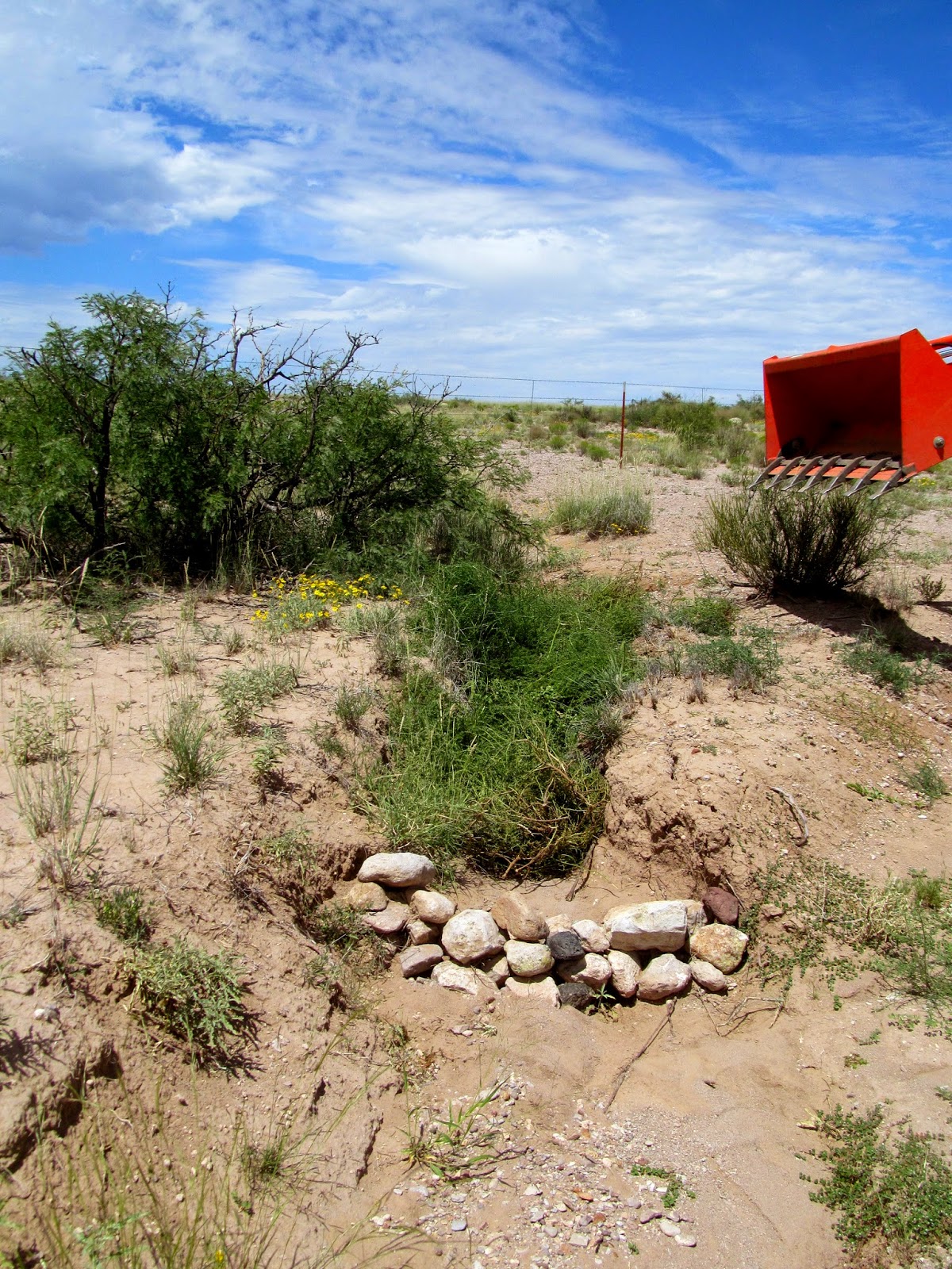 Blogging from the Boot Heel Preparing for the Monsoon Rains Arroyo