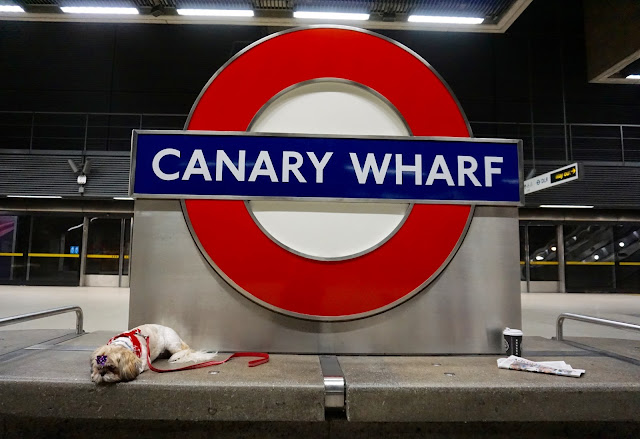Canary Wharf Indigo and mouse, pet blogger, dog friendly london, essex blogger, dogs on london underground, dogs on the tube