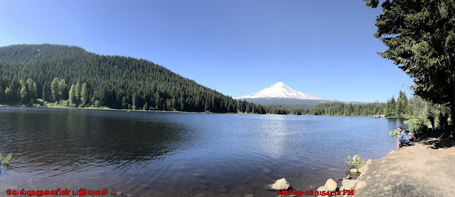 Mount Hood National Forest Lake