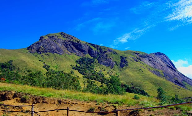 Munnar - One of the most popular Hill Sations in South India