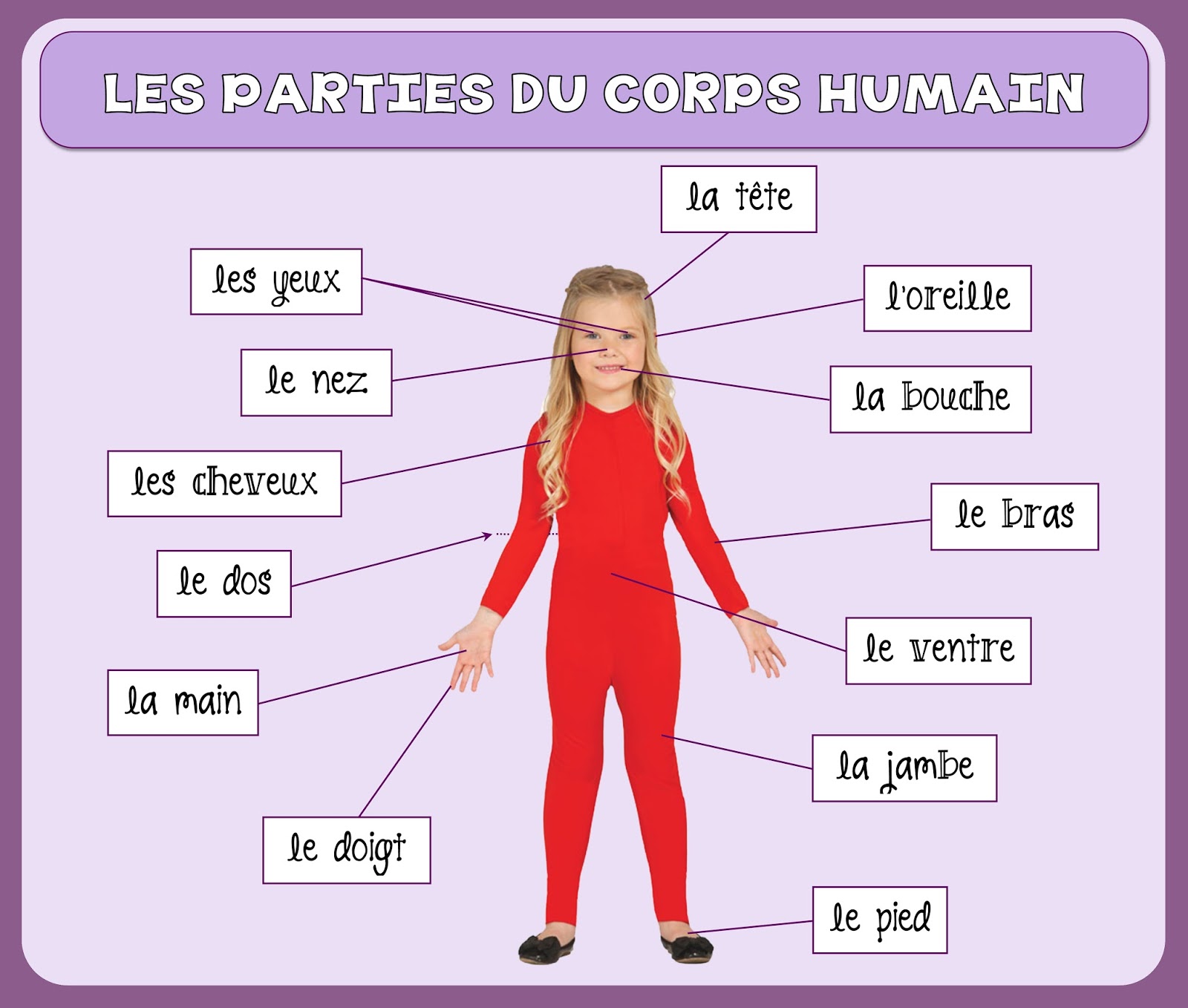 Les Parties Du Corps Humain Francais | Hot Sex Picture