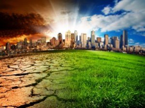 Реферат: Глобальні екологічні проблеми