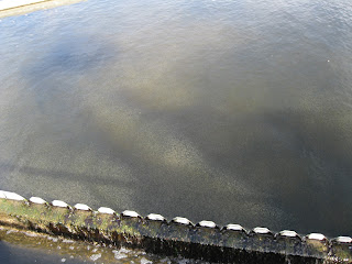 A close up of the side weir on one side of the launder. You can see all the little particles that are suspended, unable to settle out, passing over the weir and onto the next process.