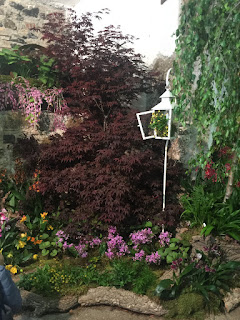 , Mostre primaverili: Horti di Veio e Monteporzio catone 2017, diarid'orchidee