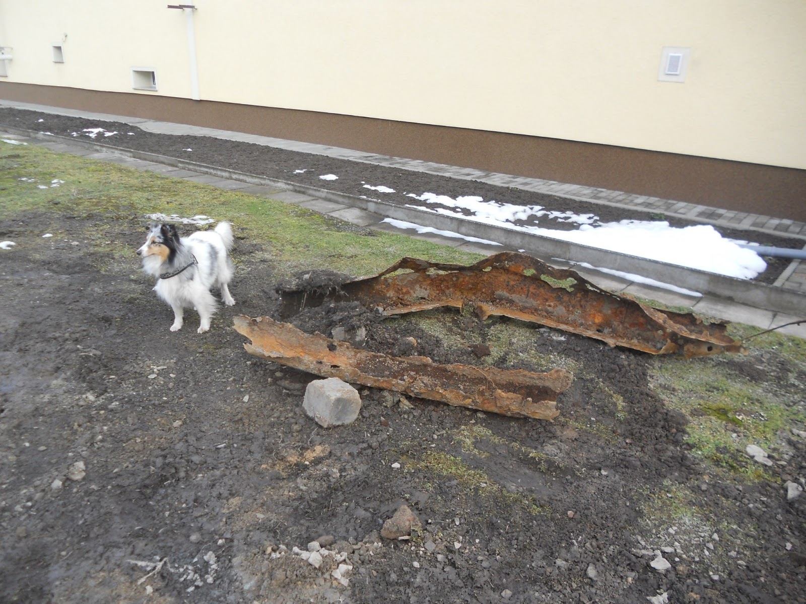 Ein Haus für Mensch, Hund, Katze und Maus März 2013