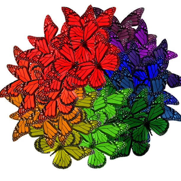 The blogger: Butterfly colorwheel