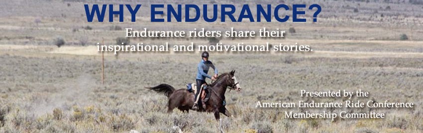 Why Endurance