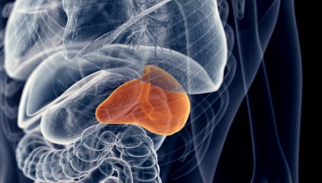 Διόγκωση σπλήνας: Τα επικίνδυνα σημάδια