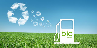 Pemanfaatan Abu Tandan Kelapa Sawit Pada Pembuatan Biodiesel_