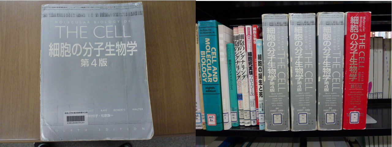 徳島大学附属図書館蔵本分館日誌 Ncbi Bookshelfの使い方 2013