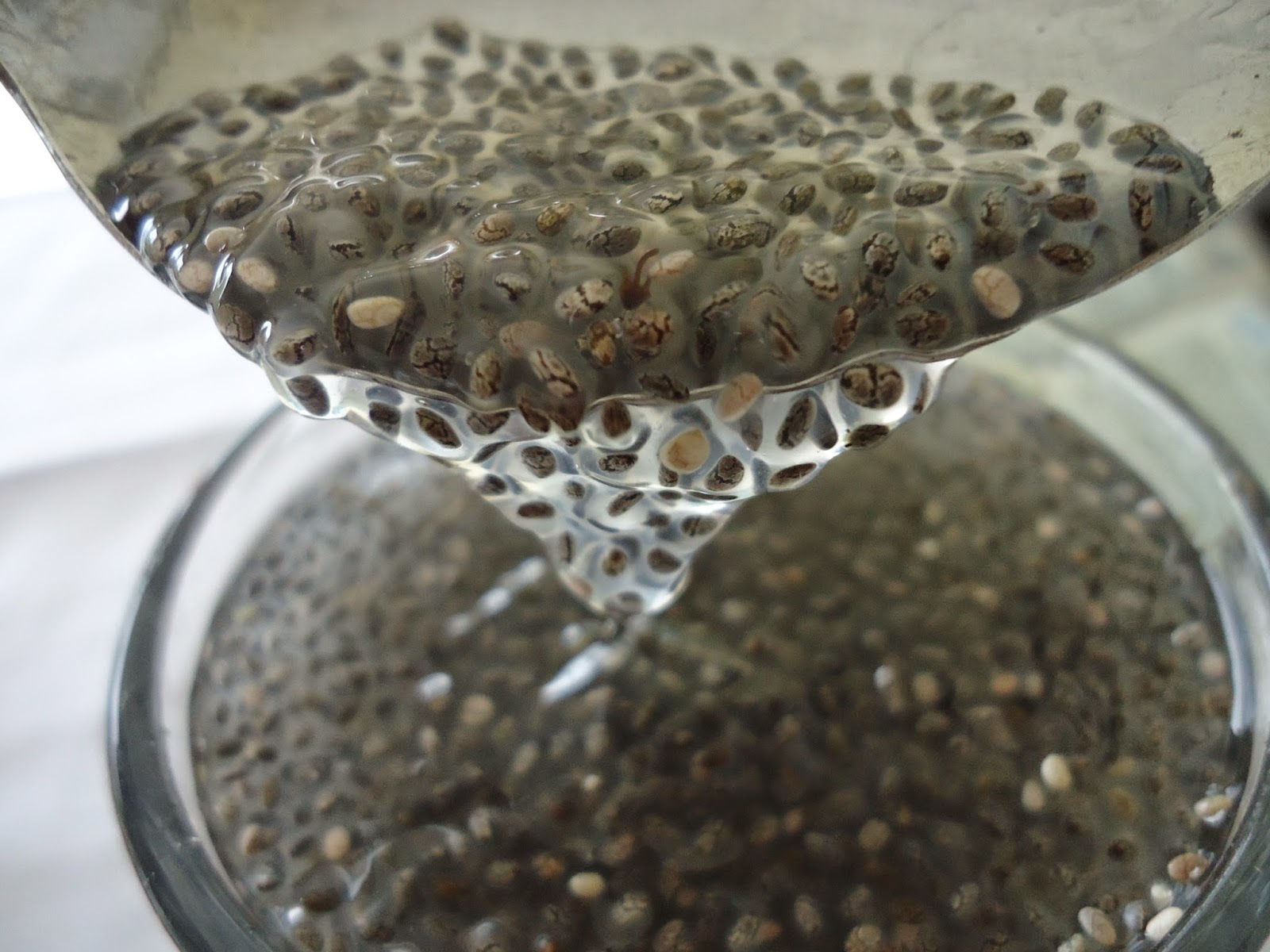 ORGANIK PUNCAK ALAI Manfaat Chia Seed
