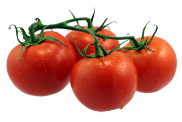 「ＰＡＫ遮断剤」を含む（自然栽培）トマトの茎